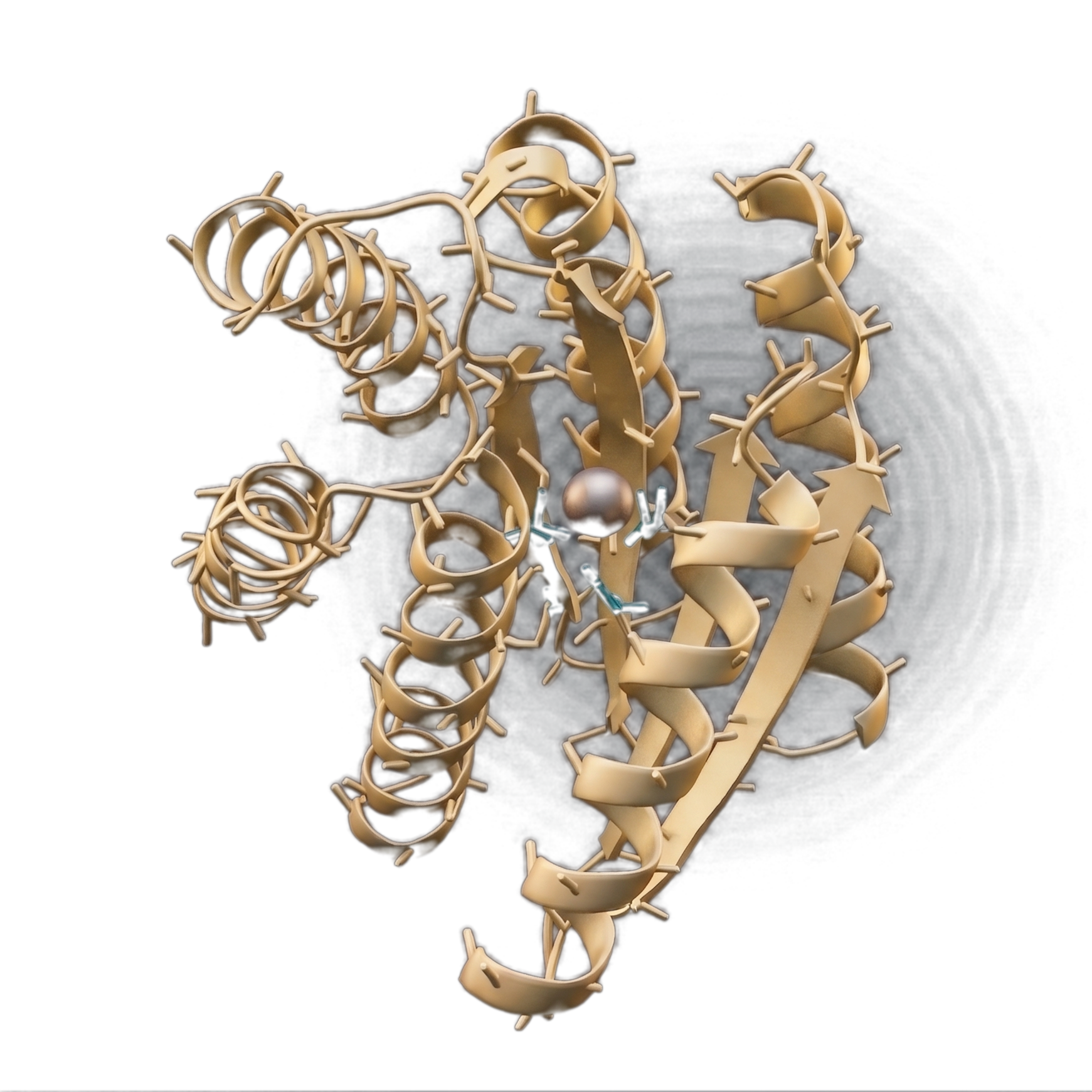 Engineered protein structure